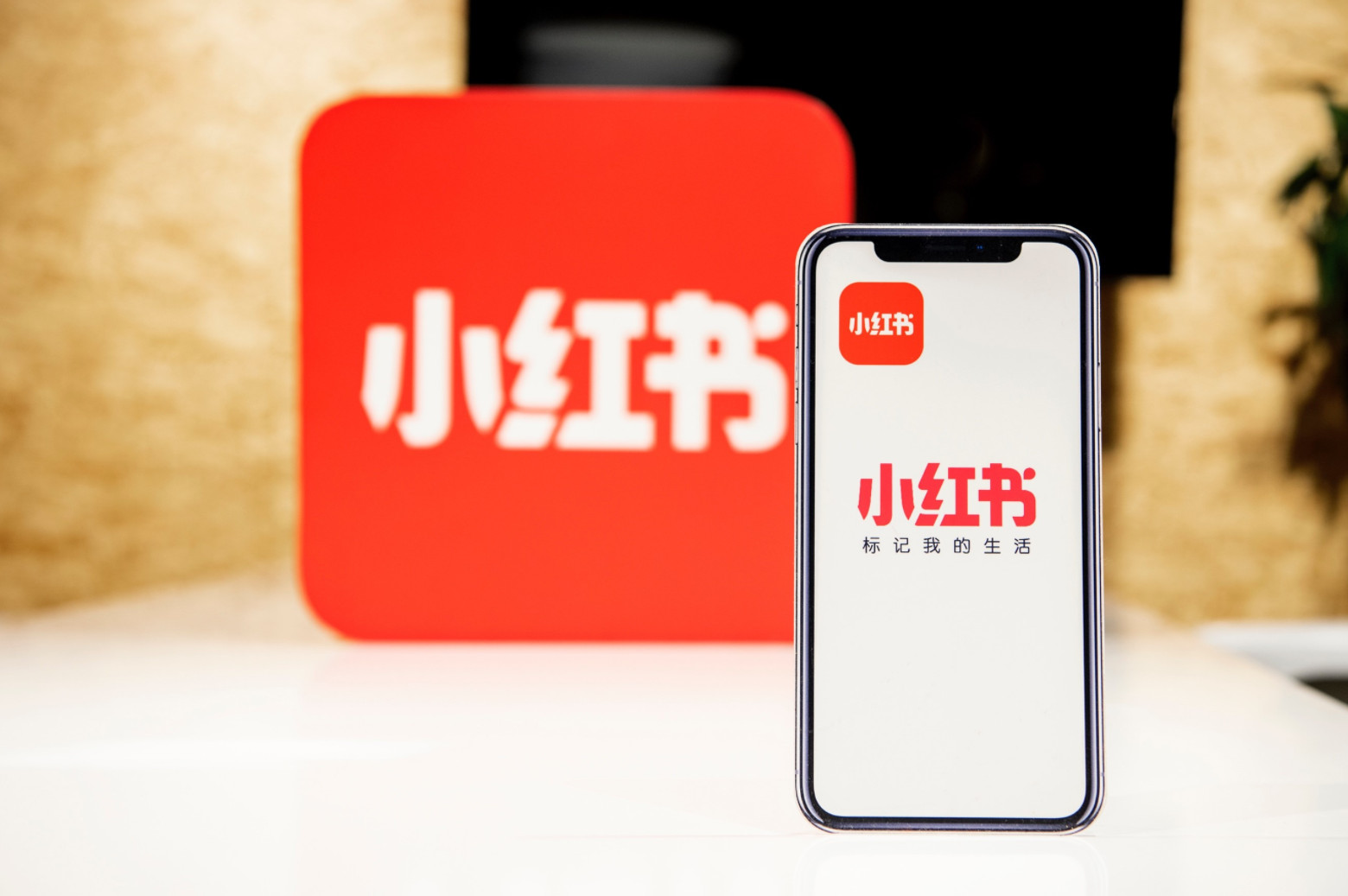 小红书将提升直播业务为独立部门;POLA集团或将终止两大高端品牌运营;COSMAX推出定制化妆品平台... | 美妆风向标