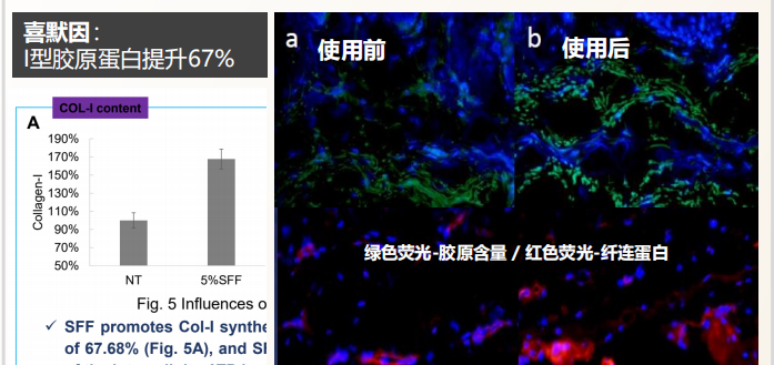 中国护肤品自研成分的探索：与时光较量的底气 | 行业洞察