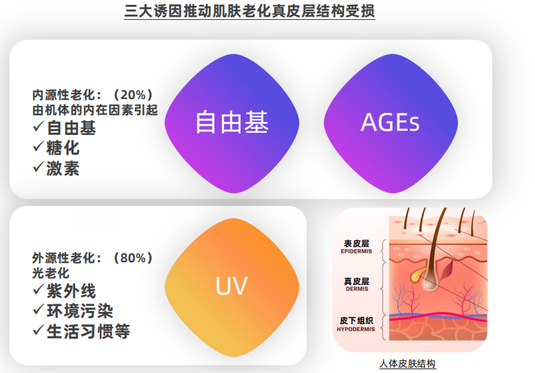 抗衰老下半场,品牌迈向细分赛道的进阶护肤之路 | 行业洞察