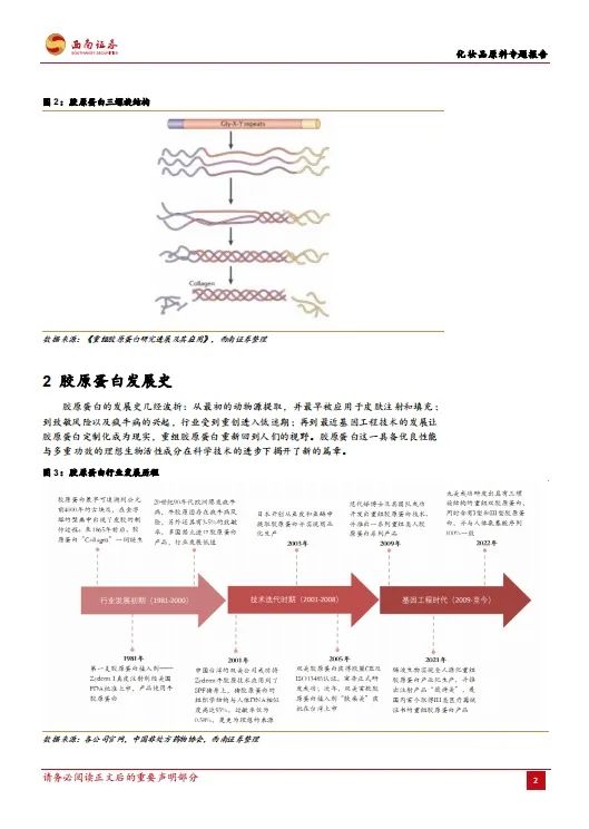 报告导读：【胶原蛋白合集】有望突破千亿规模？胶原蛋白的前景与发展 | 行业洞察