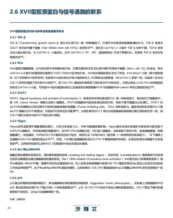 报告导读：【胶原蛋白合集】有望突破千亿规模？胶原蛋白的前景与发展 | 行业洞察