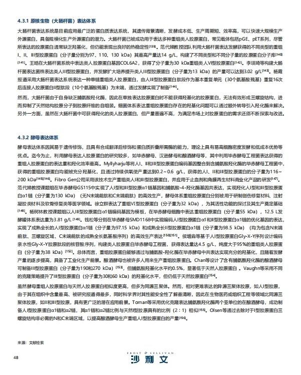 报告导读：【胶原蛋白合集】有望突破千亿规模？胶原蛋白的前景与发展 | 行业洞察