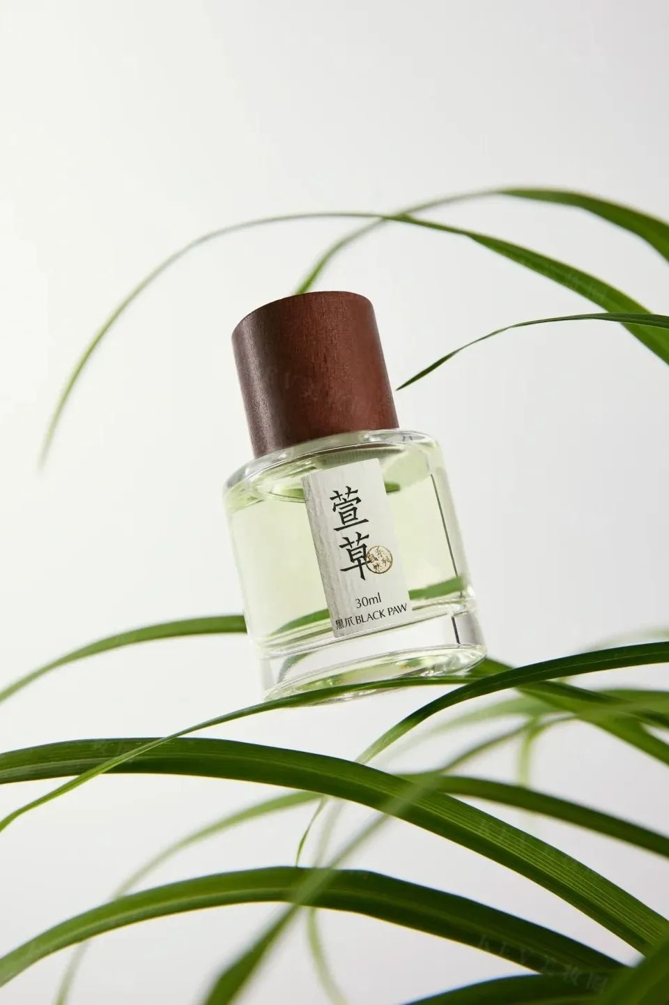 4、CT 3.jpg 美妆圈一周新品(上):橘朵2.0冰熨斗pro;essence艾森丝初生粉底液;INTO YOU镜光口红... | 新品速递