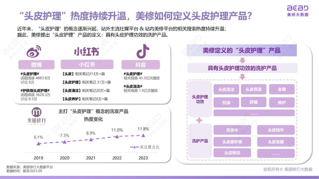 报告导读:【洗发护发合集】从头皮到发尖,市场全景分析 | 行业洞察