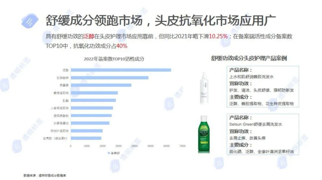 报告导读:【洗发护发合集】从头皮到发尖,市场全景分析 | 行业洞察