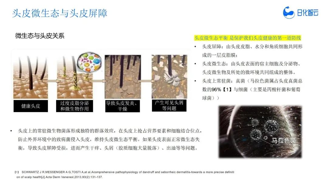 报告导读:【洗发护发合集】从头皮到发尖,市场全景分析 | 行业洞察
