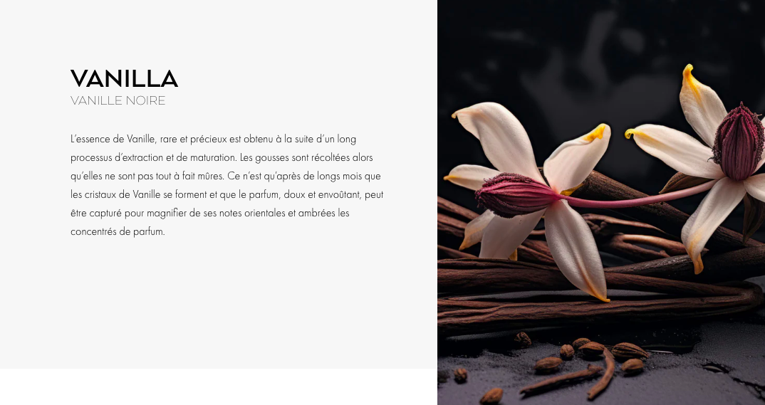 海外上新：勃肯鞋新开足护系列；凝胶转牛奶配方磨砂膏；睫毛膏型护发棒… | 新品速递