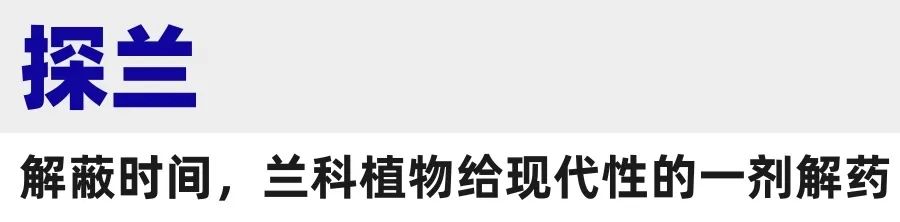 「LAN兰」携手深圳兰科中心,赴兰花溯源之旅