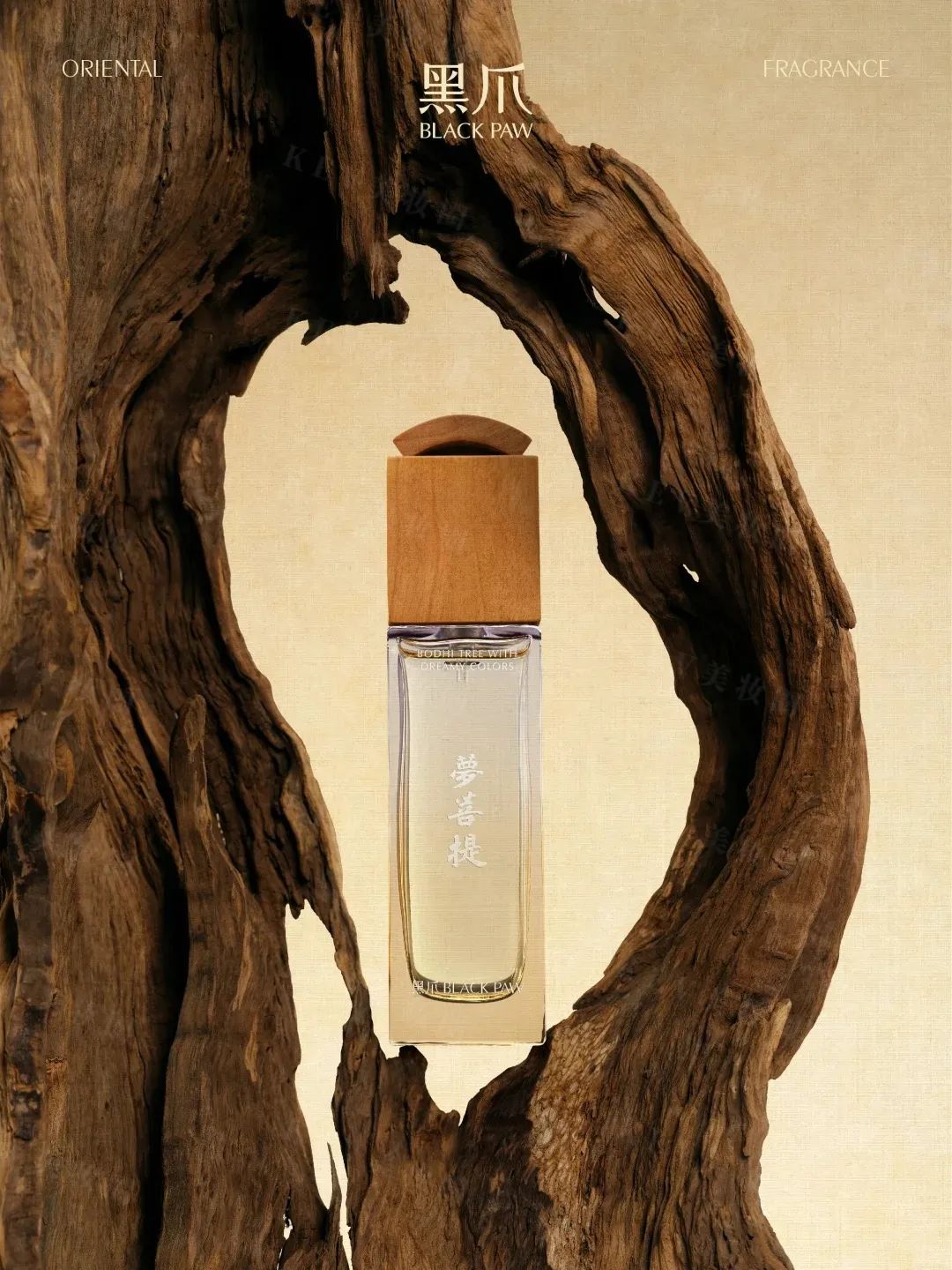 美妆圈一周新品(下):自然堂重组Ⅲ型人源化胶原蛋白贴敷料;野兽代码多酶精华油;毕生之研厚脸皮B5速修面膜... | 新品速递