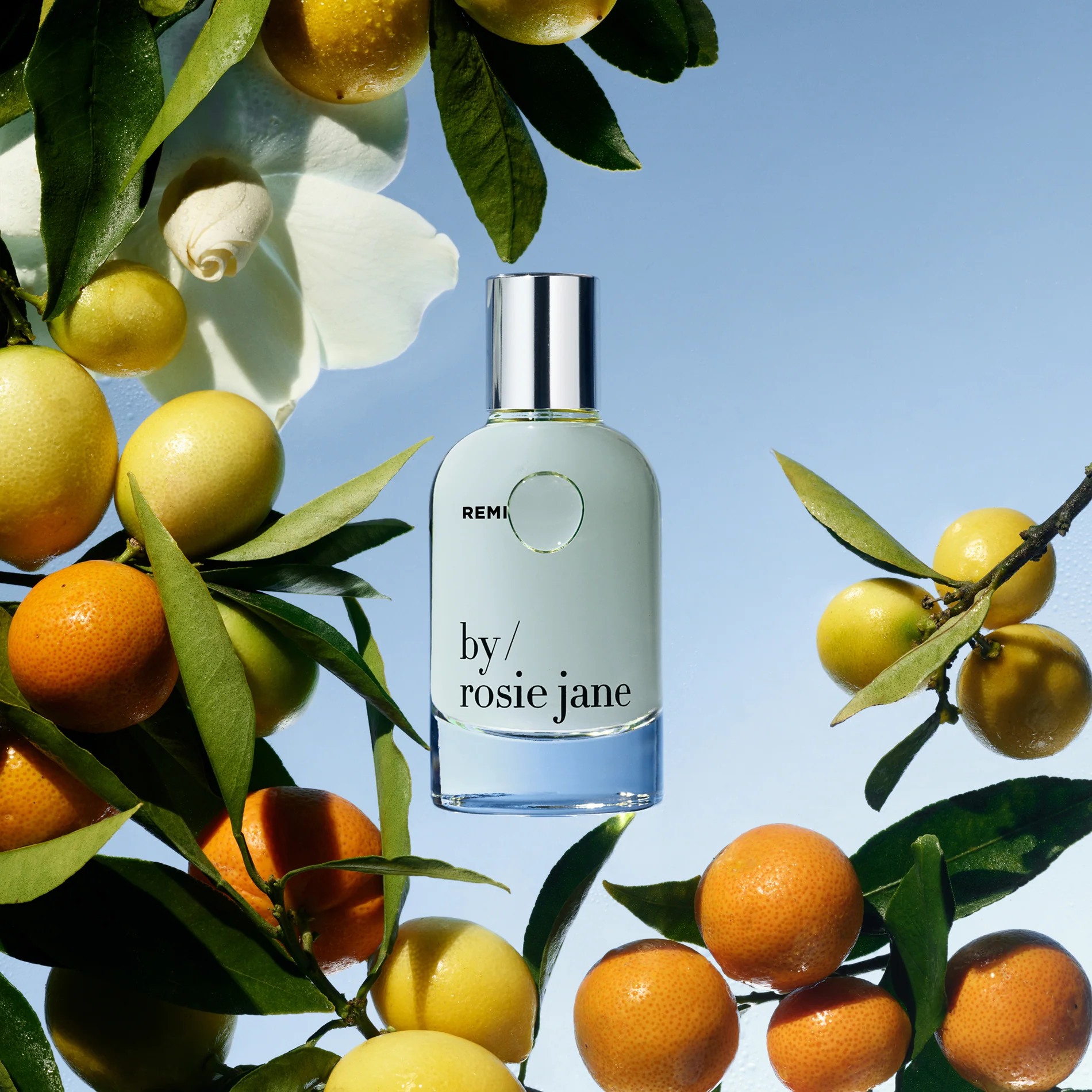 动态抗皱精华;遗珠香氛套装;鸡汤浴球;七合一精华霜… | 海外上新