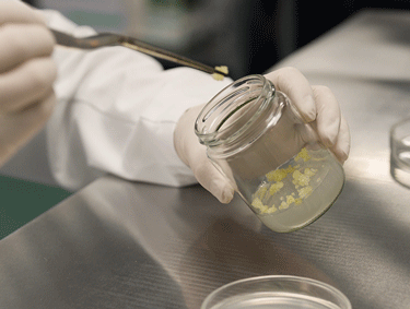 时间开出的花｜「LAN兰」与它寂静深耕的六载