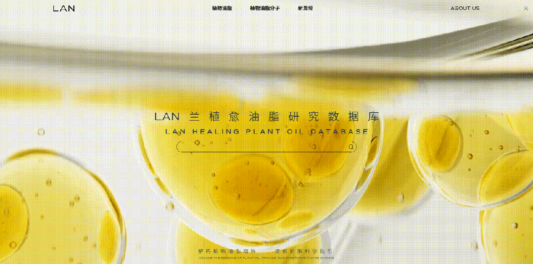 时间开出的花｜「LAN兰」与它寂静深耕的六载