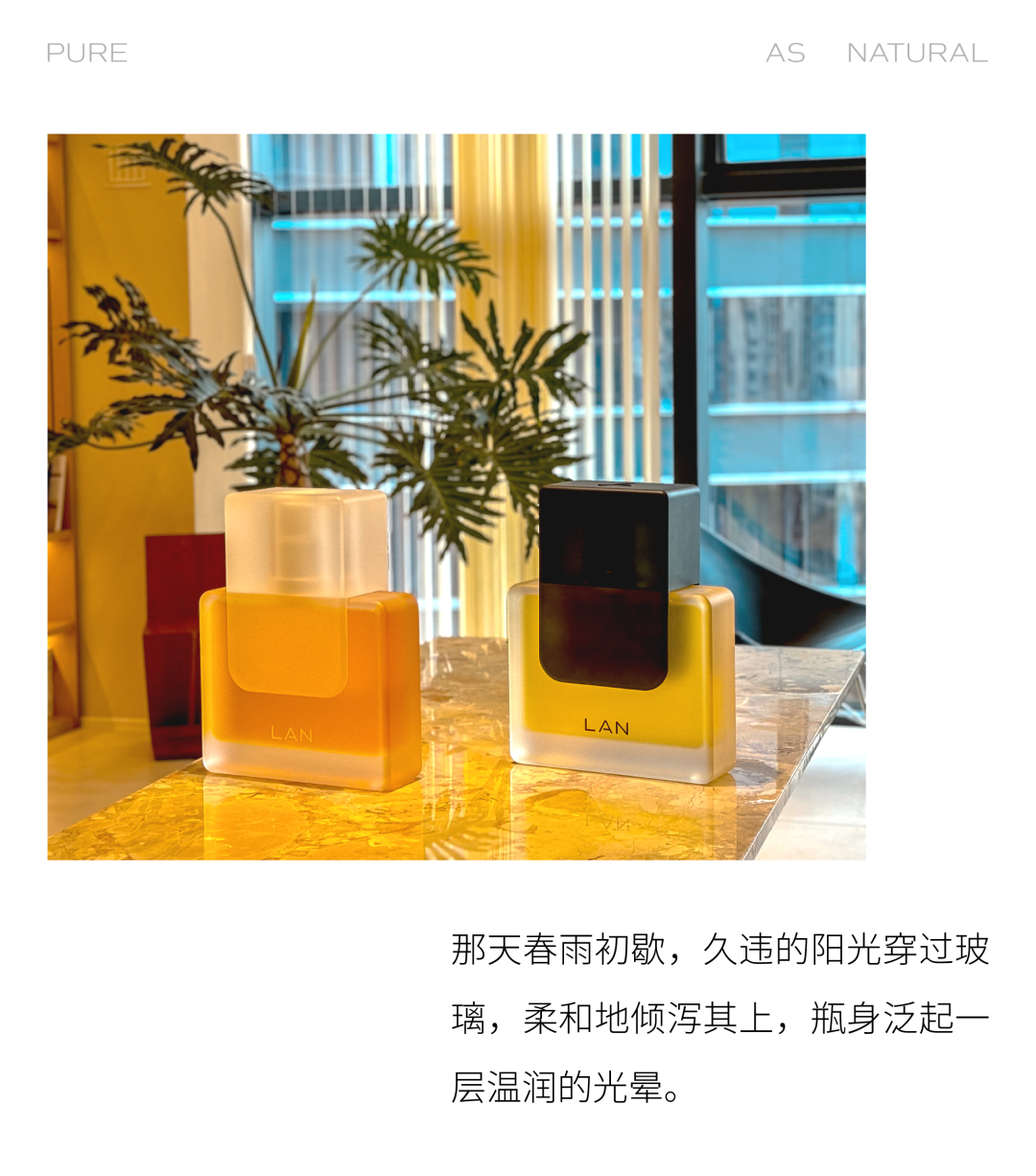 时间开出的花｜「LAN兰」与它寂静深耕的六载