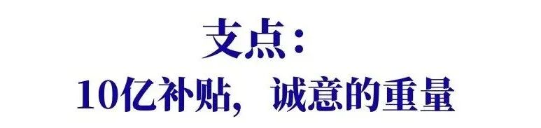 如何让10亿补贴，成为一颗有重量的“石子”？ | 行业洞察