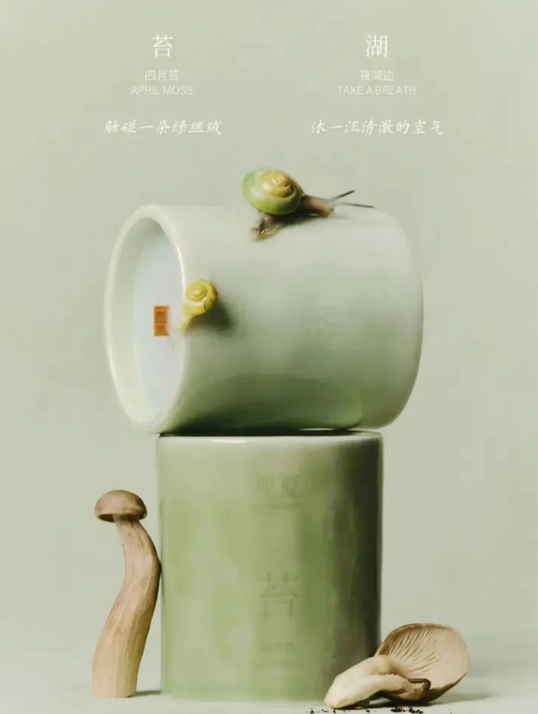 一周新品（上）：酵色春日漫游系列；彩棠引青入妆限定系列；Burberry风衣蜜粉；观夏定自由与想象春日限系列... | 新品速递